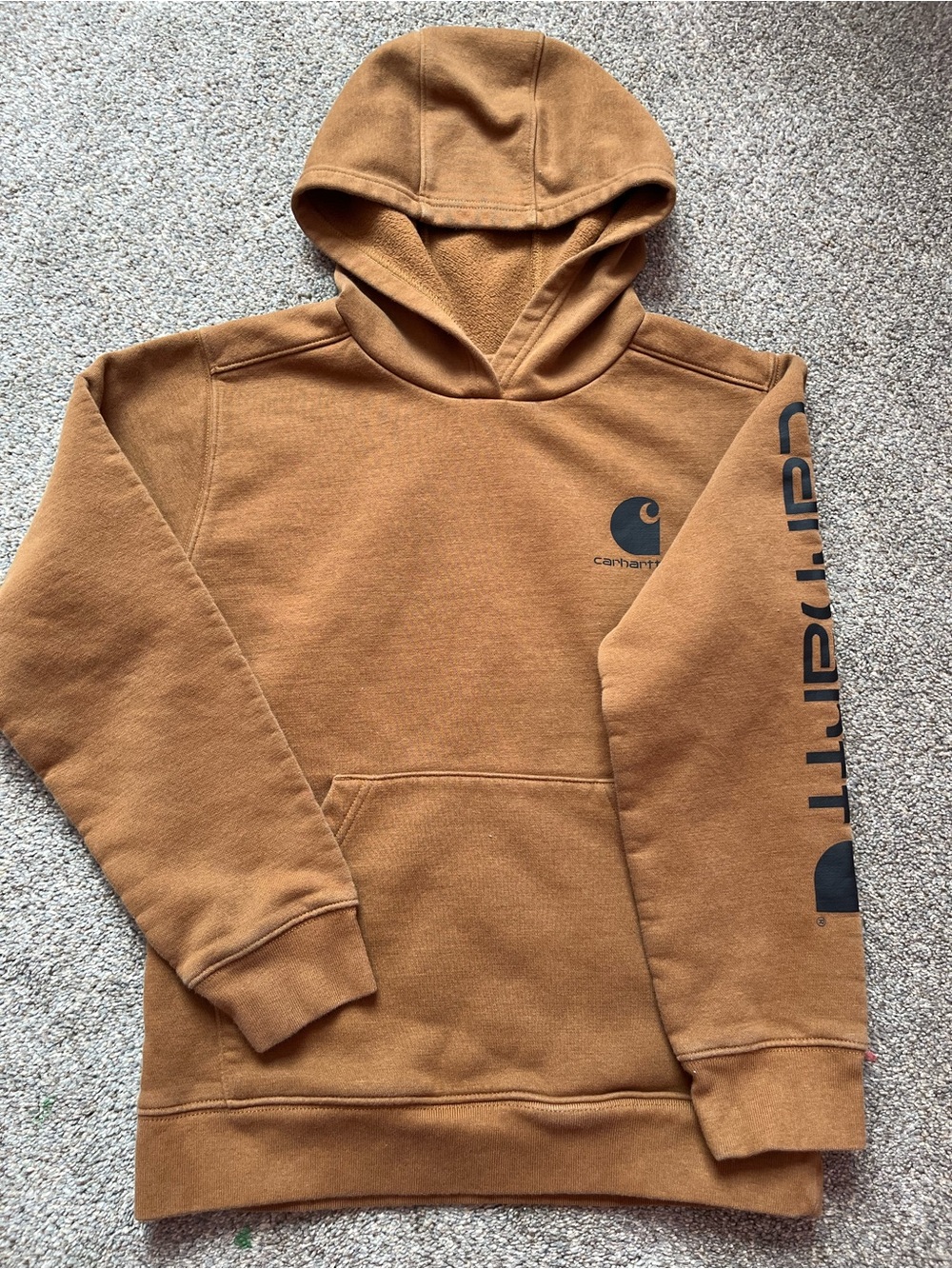 Boys Carhartt Sweatshirt (10/12)